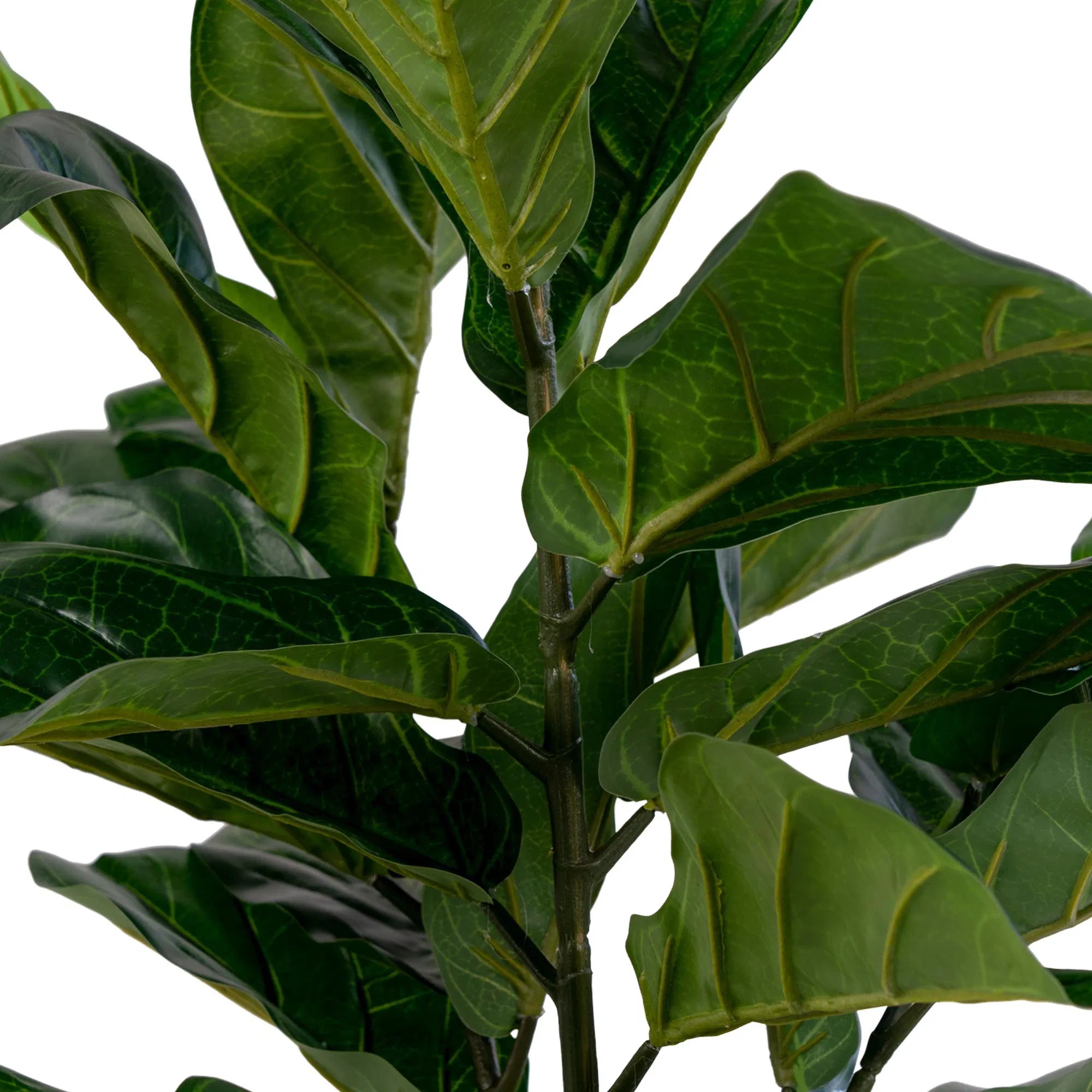 Arbre Fiddle Leaf artificiel – 100 cm, une pièce élégante avec de grandes feuilles